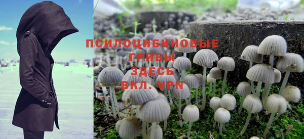 спайс Богородицк